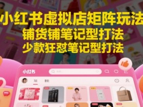 小红书虚拟店矩阵玩法，铺货铺笔记型打法，少款狂怼笔记型打法