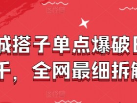 同城搭子单点爆破日入千，全网最细拆解