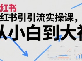 小红书引流实操课，从小白到大神