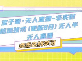 宝子哥·无人直播-非实时防风技术(更新25年5月)无人半无人直播