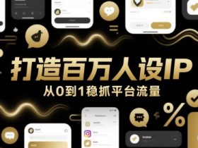 打造百万人设IP，从0到1稳抓平台流量