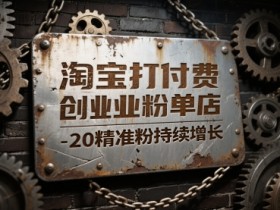 淘宝打付费创业粉单店每天稳定10-20精准粉持续增长【揭秘】