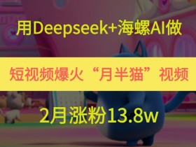 用Deepseek+海螺AI做短视频爆火“月半猫”视频，2月涨粉13.8w