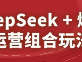 DeepSeek+爆品运营组合玩法，2025淘系精品课