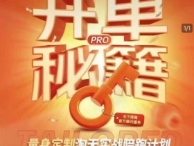 淘宝开单秘籍PRO，量身定制淘天实战陪跑计划，告别做店迷茫、快速突破运营瓶颈期（更新）