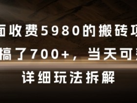 外面收费5980的搬砖项目，3天搞了7张+，当天可落地，详细玩法拆解【揭秘】
