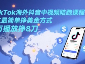 TikTok海外抖音中视频陪跑课程，TK最简单挣美金方式，1万播放挣8刀