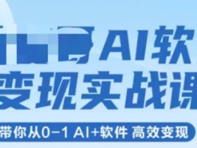 AI软件变现实战课，带你从0-1 Al+软件 高效变现