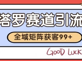 小红书某音塔罗赛道引流获客 自热矩阵日引200+【揭秘】