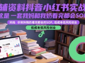 教辅资料抖音小红书实战营，这是一套我妈和我奶看完都会的SOP，低成本低风险创业