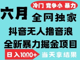 2025年6月高爆抖音无人直播最新撸音浪掘金项目，无脑日入1k+，低门槛小白可做，可矩阵放大【揭秘】