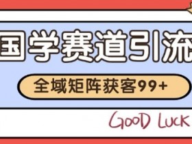 小红书某音国学赛道引流获客 自热矩阵日引200+【揭秘】
