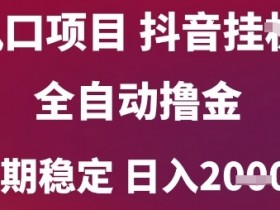 风口项目，六月最新玩法抖音无人挂G，全自动撸金，长期稳定 日入2k+【揭秘】