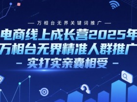 电商线上成长营2025年，万相台无界关键词推广-万相台无界精准人群推广-实打实亲囊相受