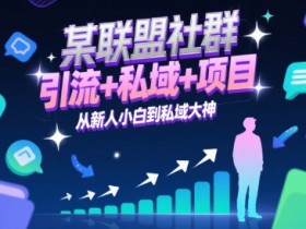 某联盟社群，引流+私域+项目，从新人小白到私域大神