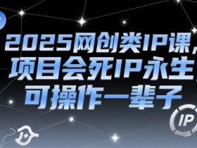 2025网创类IP课，项目会死IP永生，可操作一辈子