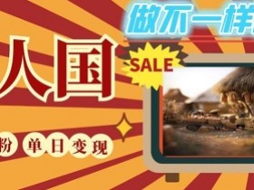 DeepSeek+绘图+视频制作小人国微观视频，小白轻轻松松上手，条条爆款，条条变现，单日就能收益