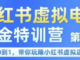 小红书虚拟电商掘金特训营第1期，从0到1，带你玩转小红书虚拟店铺
