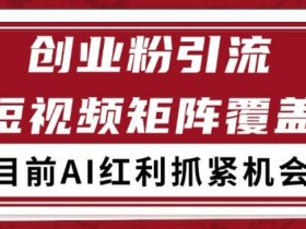 小红书某音创业赛道引流获客 自热矩阵日引200+【揭秘】