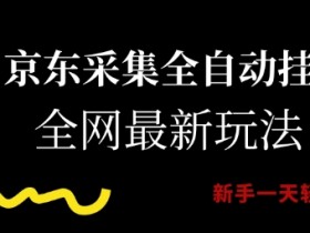 京东采集全自动挂G项目，全网最新玩法新手一天轻松5张【揭秘】