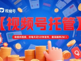 【视频号托管 】我提供视频，你每天花5分钟发布，最高躺挣2W+【揭秘】