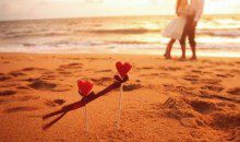 《情叔叔入房术》涵盖：实战战略调情理论，各种场合操作指南，慢半拍原理等内容