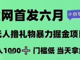 全网首发六月，无人撸礼物暴力掘金项目，日入1K+门槛低，当天拿结果，小白可玩【揭秘】