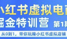 锋声小红书虚拟电商掘金特训营第1期，从0到1，带你玩转小红书虚拟店铺