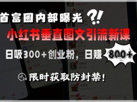 首富圈内部曝光小红书垂直图文引流新课，日吸300+创业粉，日入8张+，限时获取防封禁