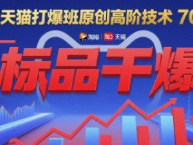 淘宝天猫打爆班原创高阶技术第70期：标品干爆