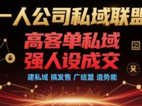 一人公司私域联盟，高客单私域，强人设成交，建私域 搞发售 广结盟 造势能