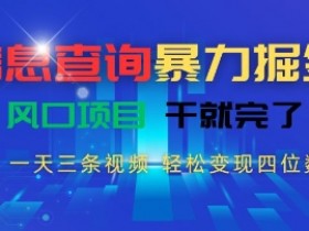 信息查询暴力掘金，一天三条视频，轻松变现四位数，风口项目干就完了【揭秘】