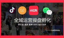 Ladyboss全域运营操盘孵化IP打造，高效 简单 AIGC SEO SOP