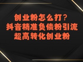 创业粉怎么打？抖音精准负债粉引流，超高转化创业粉