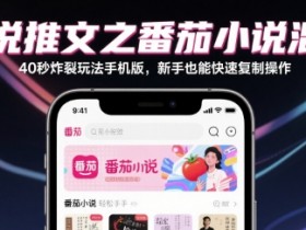 小说推文之番茄小说混剪40秒炸裂玩法手机版，新手也能快速复制操作