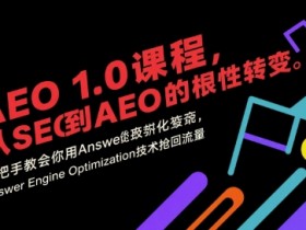 AEO 1.0 课程，从SEO到AE0的基命性转变，手把手教会你用AnswerEngineOptimization技术抢回流量