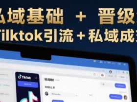 跨境私域基础+晋级线上课，Tilktok引流+私域成交