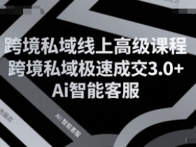 跨境私域线上高级课程，跨境私域极速成交3.0+Ai智能客服
