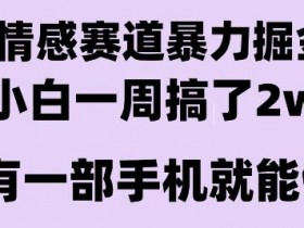 情感暴力掘金项目，新人操作一周挣了2W，长期稳定小白可做【揭秘】