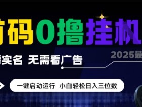 首码0撸全自动挂G项目，无需实名无需看广告，小白轻松日入3位数，多号短阵收益无上限【揭秘】