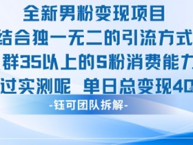 全新男粉变现项目引流人群35以上的男粉消费能力大 经过实测单日变现1k+