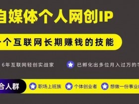 网创类公众号项目，自媒体个人网创IP，强IP强变现，操作一辈子
