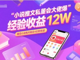 小说推文私董会大佬爆单经验分享收益12W，番茄小说每天稳定4位数收益