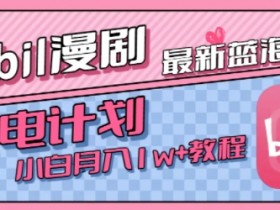 最新蓝海项目，B站充电计划，小白也能月入1w+