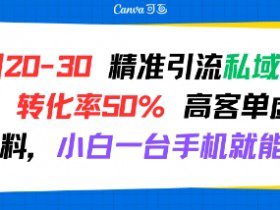 日引 20-30 精准引流私域新玩法，转化率50% 高客单虚拟资料，小白一台手机就能做