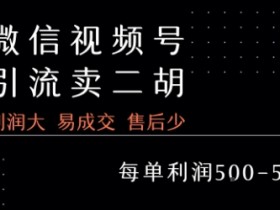 视频号卖二胡教程，利润大 易成交 售后少，一单利润5张+
