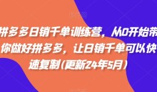 白凤电商·拼多多日销千单训练营（更新11月）从0开始带你做好拼多多