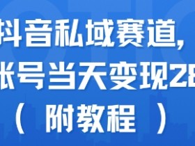 蓝海抖音私域赛道，实操单账号当天变现288+(附教程)