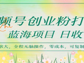视频号创业粉打法，日入1k，蓝海项目，市场需求大，全程无脑操作，可复制