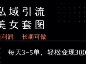 私域卖套图每天3-5单   每单利润99-2张+